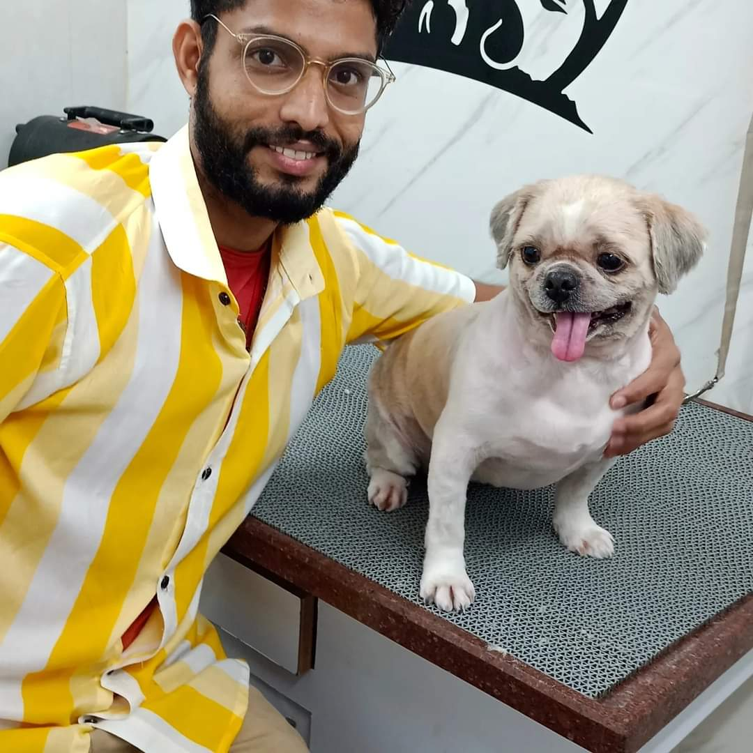 Hitesh Rohekar, pet grooming service, dog groomer, cat groomer