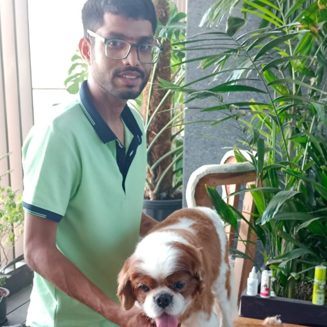 Hitesh Rohekar, pet grooming service, dog groomer, cat groomer