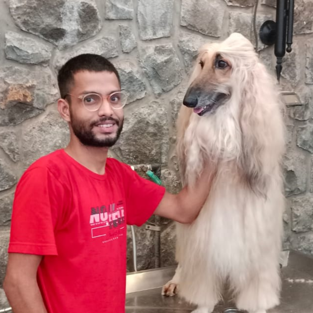 Hitesh Rohekar, pet grooming service, dog groomer, cat groomer